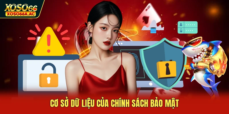 Cơ sở dữ liệu của chính sách bảo mật