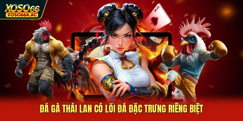 Đá gà Thái Lan có lối đá đặc trưng riêng biệt