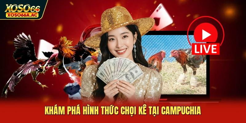 Khám phá hình thức chọi kê tại Campuchia