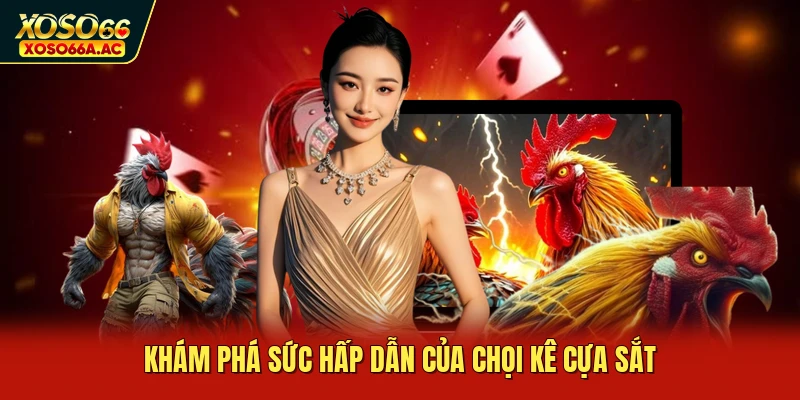 Khám phá sức hấp dẫn của chọi kê cựa sắt