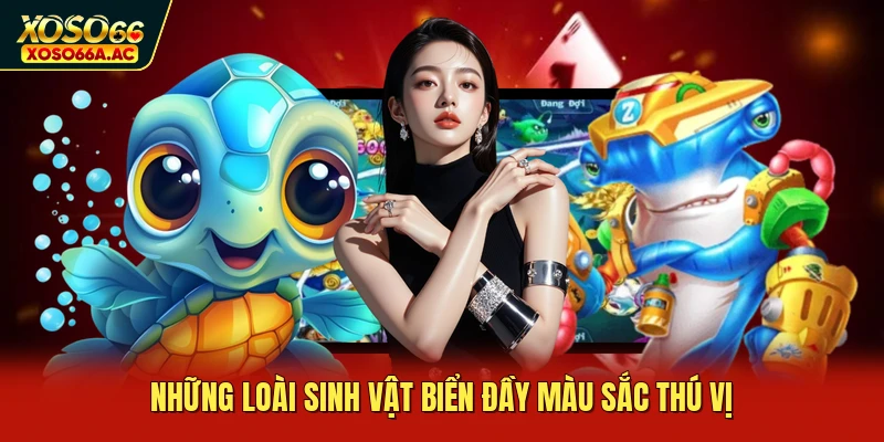 Những loài sinh vật biển đầy màu sắc thú vị