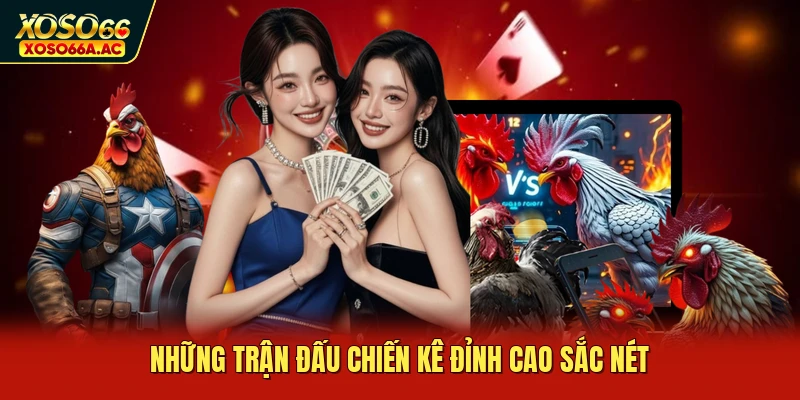 Những trận đấu chiến kê đỉnh cao sắc nét