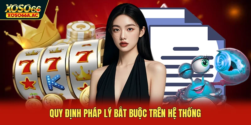 Quy định pháp lý bắt buộc trên hệ thống