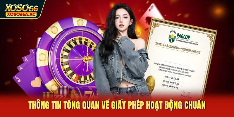 Thông tin tổng quan về giấy phép hoạt động chuẩn