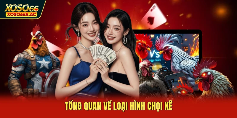 Tổng quan về loại hình chọi kê