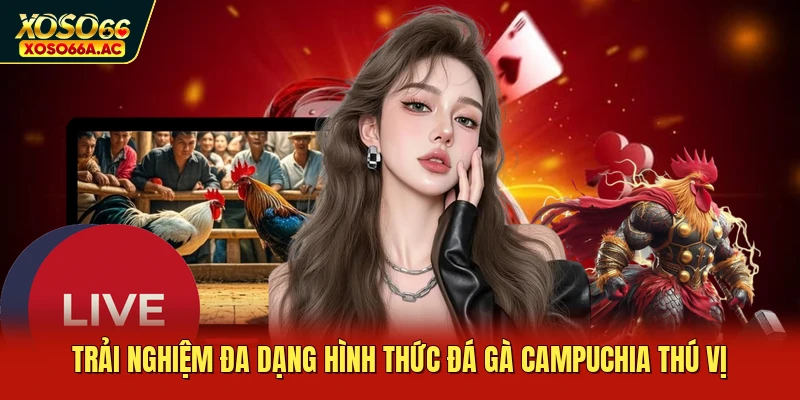 Trải nghiệm đa dạng hình thức đá gà Campuchia thú vị