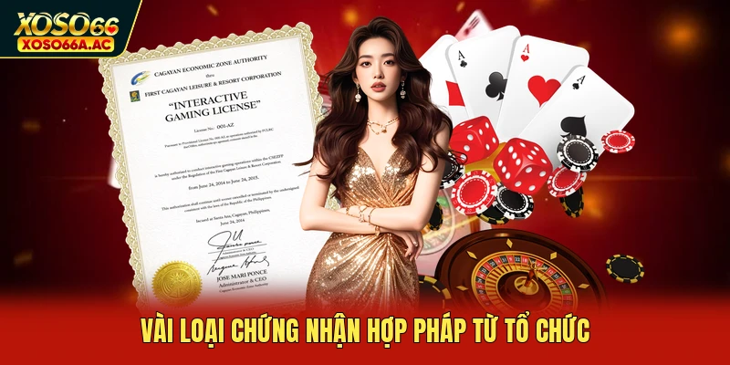 Vài loại chứng nhận hợp pháp từ tổ chức